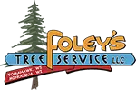 Tree service Home v3 8 tree service Home v3 5