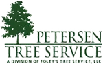 Tree service Home v3 10 tree service Home v3 7