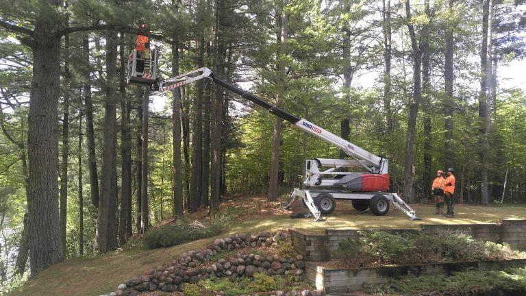 Tree service Home v3 2 Certified arborist removing a dead tree limb using an telescopic boom.
