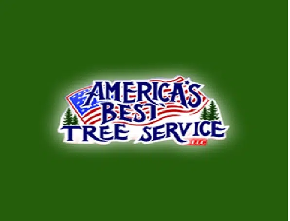 Tree service Home v3 11 America's Best Tree Service