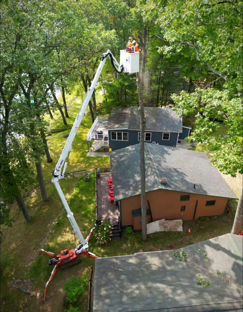 Professional arborist cutting tree high above a house using a crane