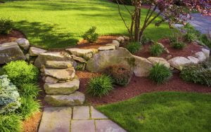 Read more about the article Summer Watering Tips for Healthy Trees and Landscapes in Wisconsin