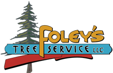 Foley's Tree Service, LLC