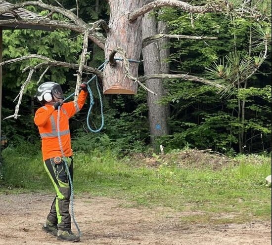 Foley's crew member handing a large and dangerous tree on a jobsite.