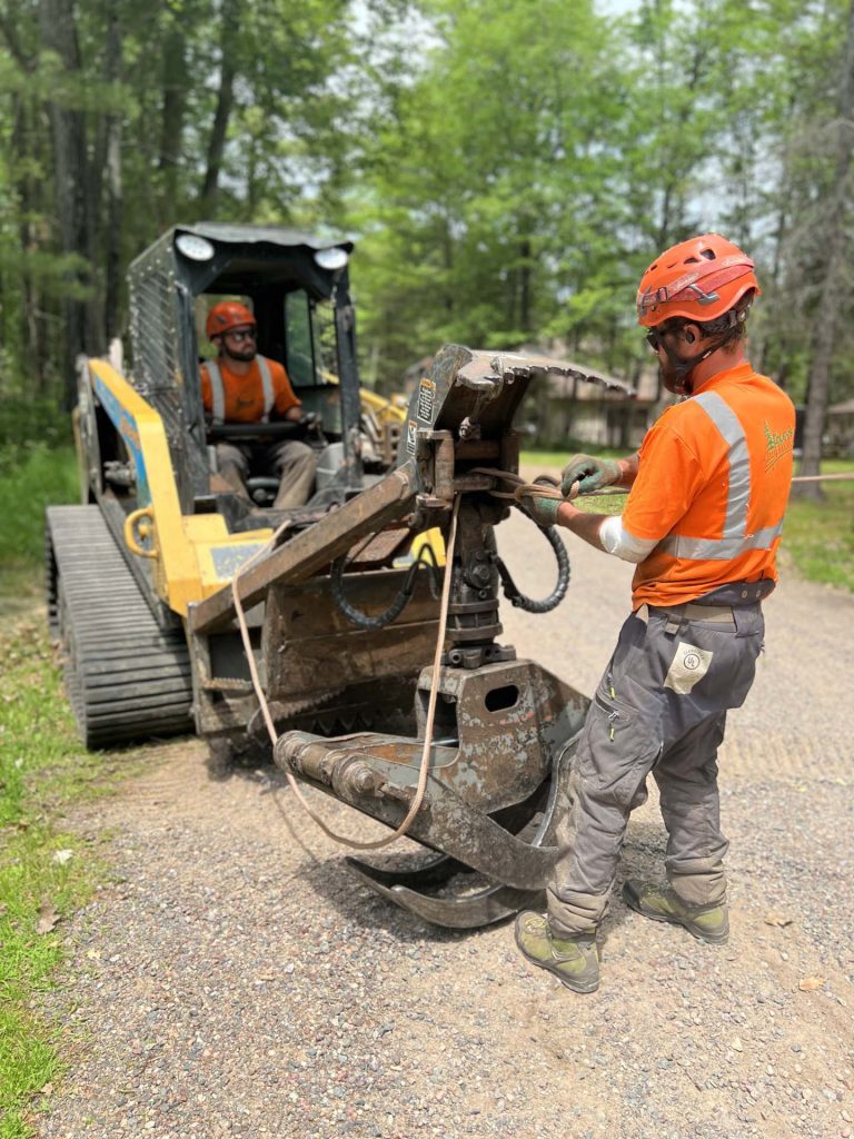 tree service Gallery 12