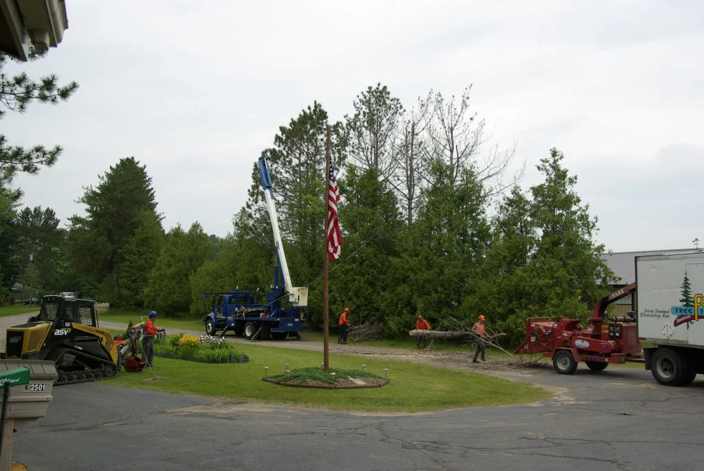 tree service Gallery 18
