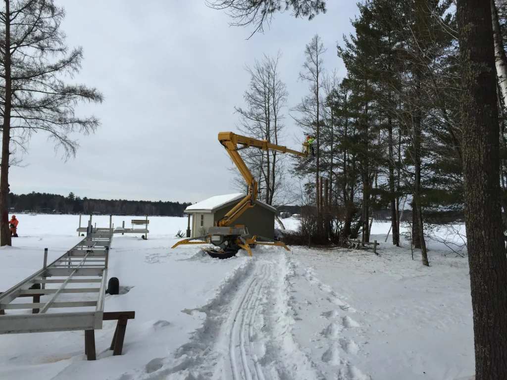 tree service Gallery 23