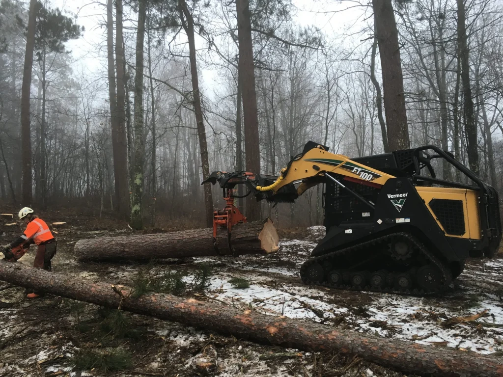tree service Gallery 25