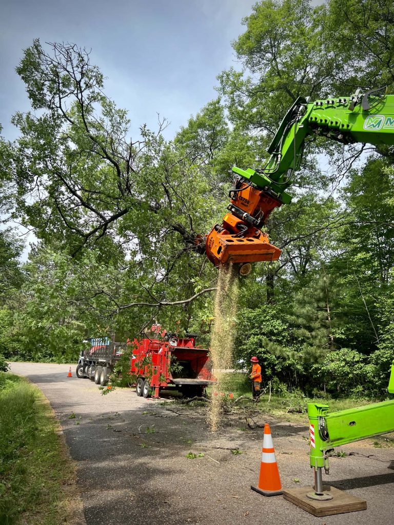 tree service Gallery 29