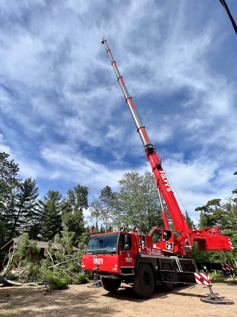 tree service Gallery 35