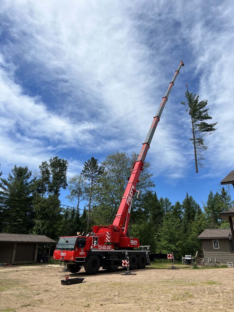 tree service Gallery 36